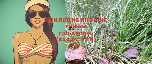 первитин Вязьма