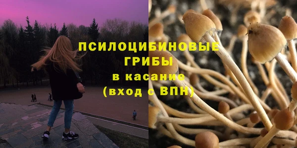 первитин Вязьма