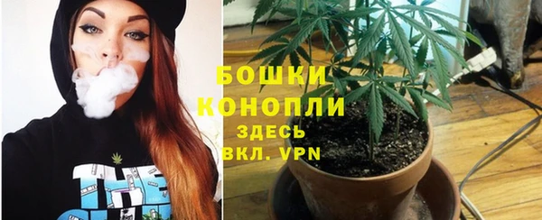 мескалин Вяземский