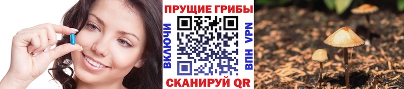 Псилоцибиновые грибы Psilocybine cubensis  Купить где  Абаза 