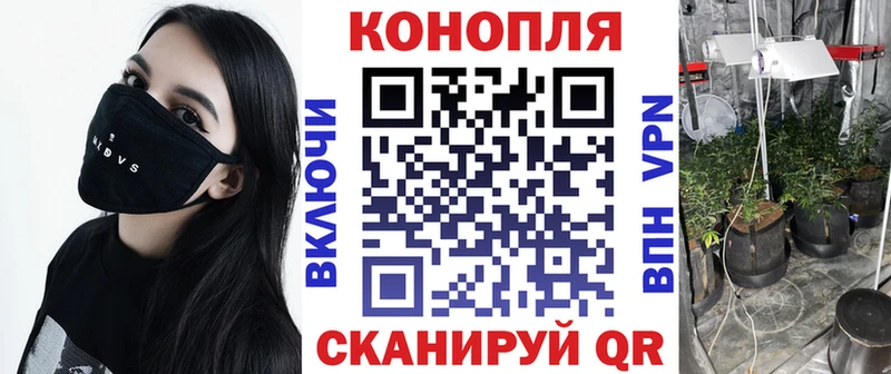 Купить где  Абаза  Конопля OG Kush 
